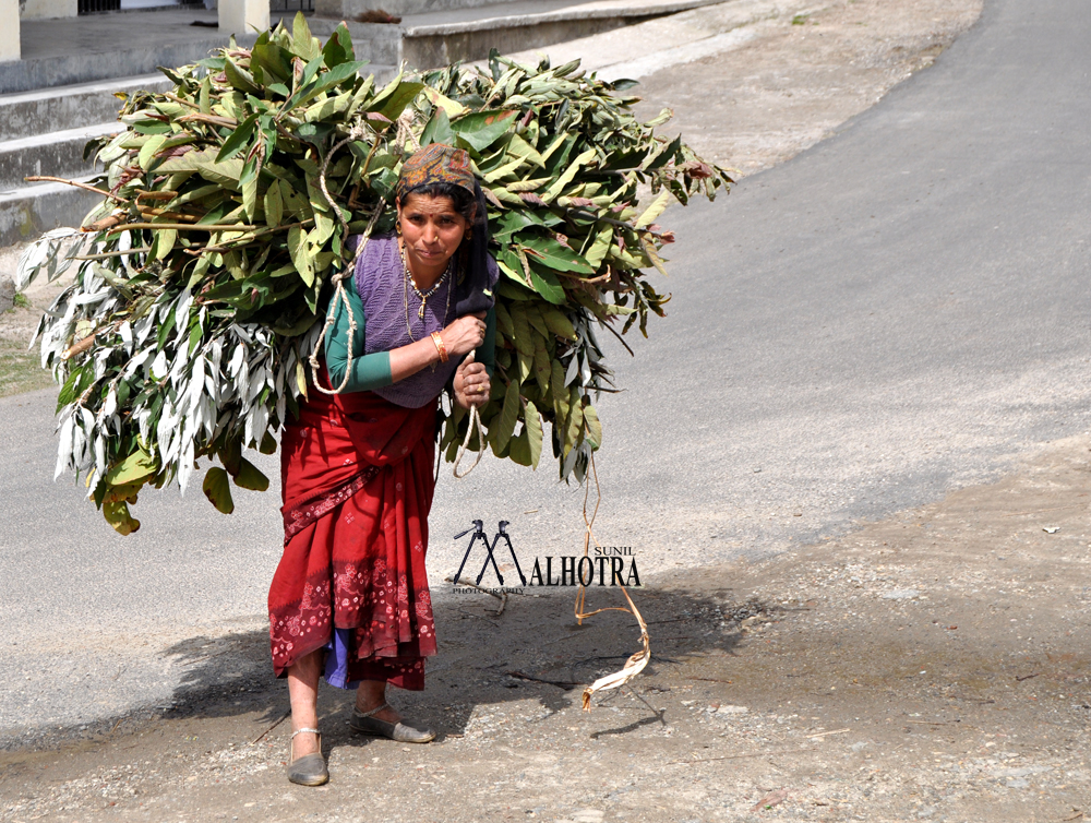 Himayala, India