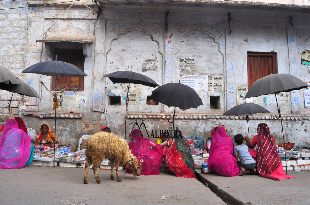 Women - Backbone of India, India