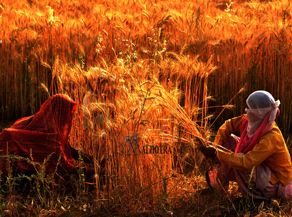 Women - Backbone of India, India
