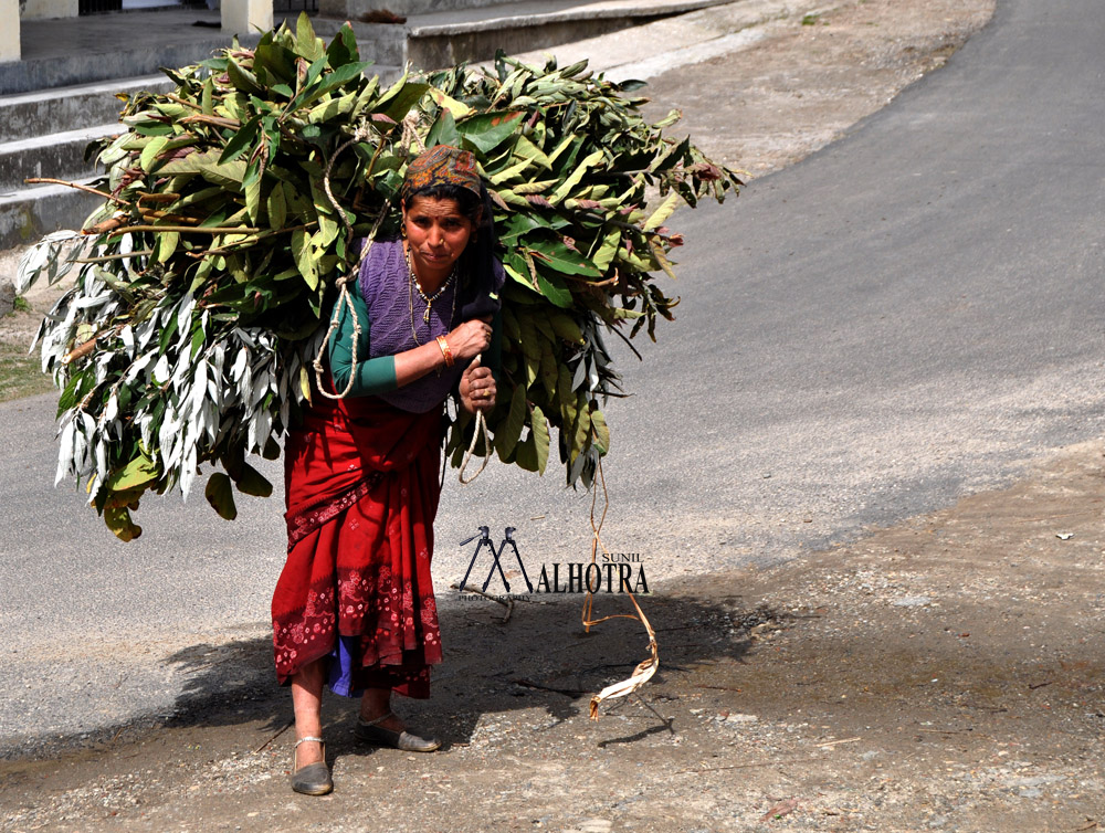 Women - Backbone of India, India